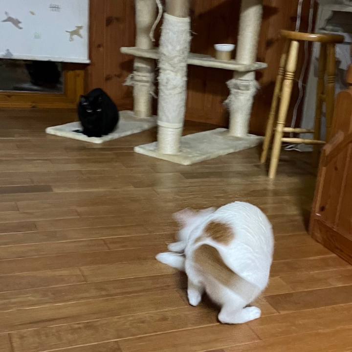 Ec7eeee6 9e7f 4b21 9222 6ee7a05450de 1671080852665