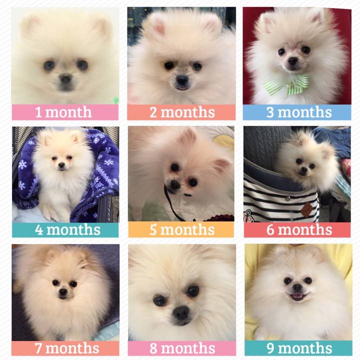 Ec7efa55 eb00 48b8 83ec e23c3d19f739 1587791431666