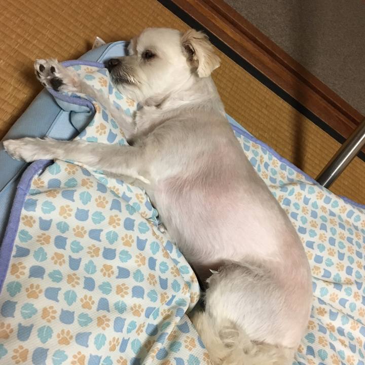 Ec7efbc2 e1b7 411a 8d89 aa8a23d612ec 1537785927098