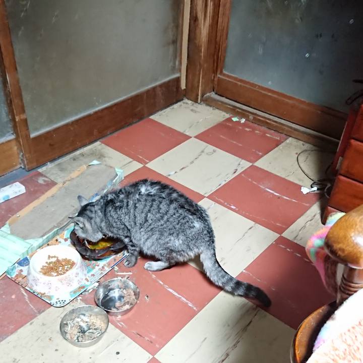 Ec7f2a8c 6d0c 4efd acfe 74ed5c5958c5 1580069511553