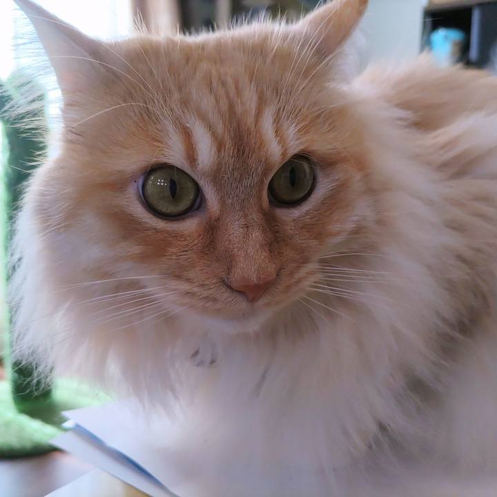 Ec7f450c a93a 4d04 a895 21e709e6f404 1711769841630