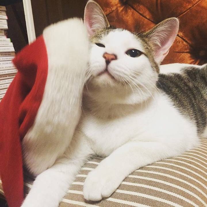 Ec7f7da0 81b8 42bd 983f 27059e42112c 1513180213184