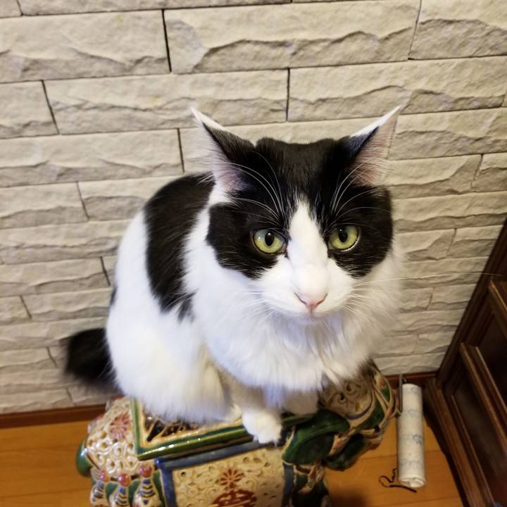 Ec7f9c59 5056 4646 a84c 413ae5ec0bb7 1552430253650