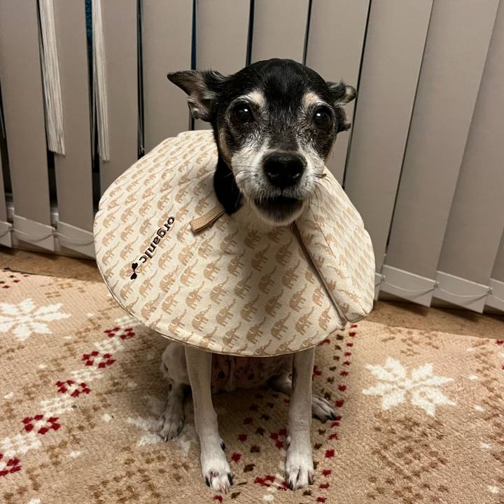 Ec7fd4c9 d152 4561 8155 f8653031f209 1638966496839