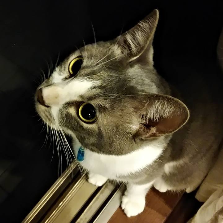 Ec8015f8 b50b 4ea0 9177 e5dde84d3655 1594910913677