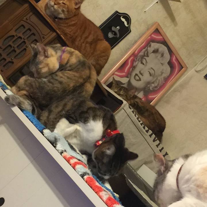 Ec80305a 06a1 49ac 96ee 95b038df9007 1547136017169