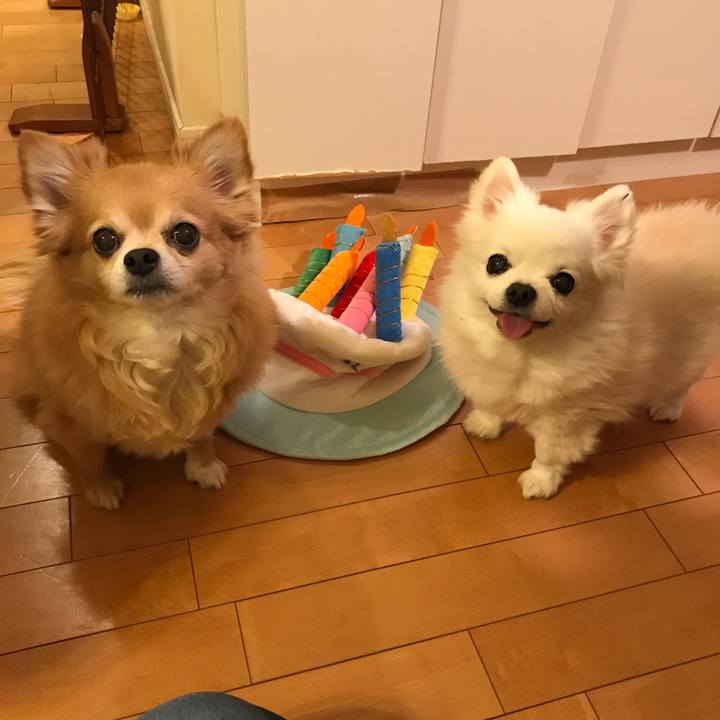 Ec803778 866b 4d8d a9ea 0ab68d9f38f8 1554813604843