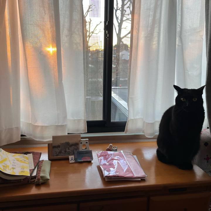 Ec805732 5d10 43e6 ad27 56b62db9d57c 1738296610490