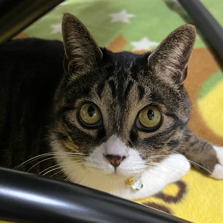 Ec8088a7 cf81 4c73 9302 e5ba0a7b89b7 1772493984739