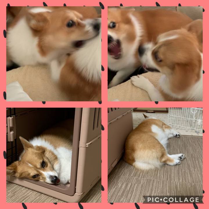 Ec80a9be be54 486a 9cca 499d455c6ab6 1597789256658