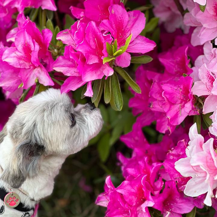 Ec80be88 bdb2 422c b95e de37b806ed45 1683556401805