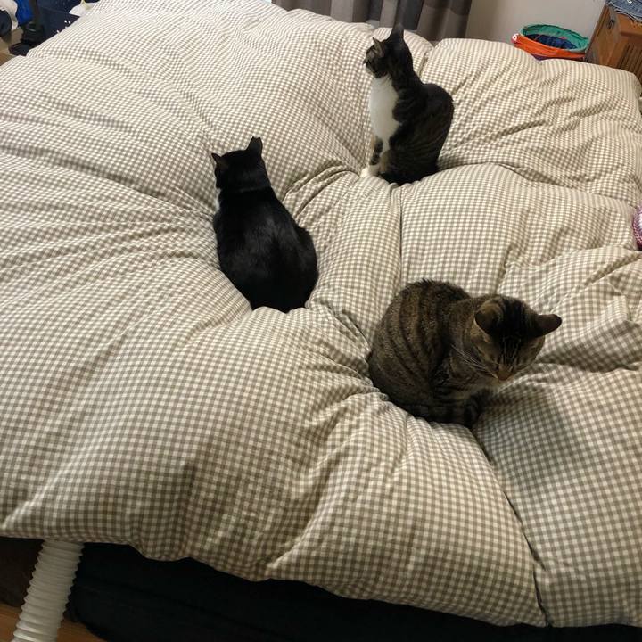 Ec80cb20 9614 4fbf b0ff 35af250e57d4 1607171120904