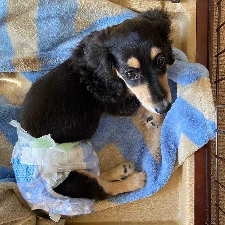 Ec80efe8 a665 475b 83ec 8fff8bdc528f 1667350349037