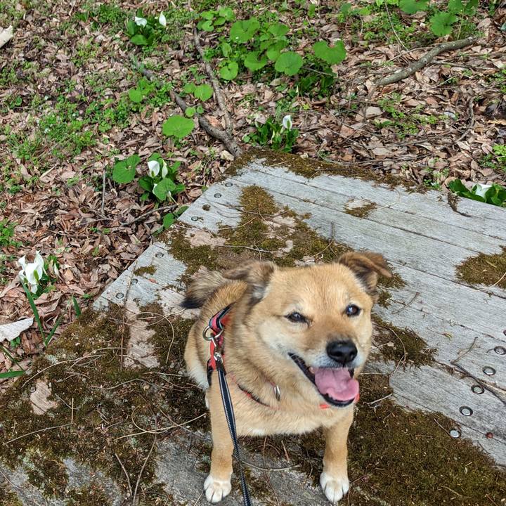 Ec8156a0 e1fe 4fee 96d7 c7d9a210b53f 1682089485043