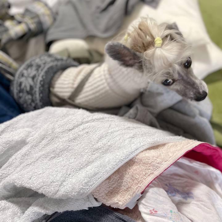 Ec8196dc 4070 4ba0 a558 443aa5bd75e1 1761641386452