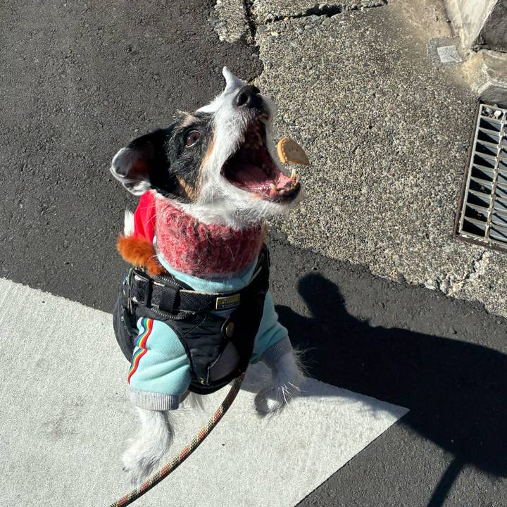 Ec81a068 62c1 4437 9828 d811ddf44b89 1769131736534