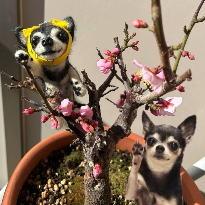 Ec81ace6 5f9a 4915 869f 660b57d9fafd 1769379885708