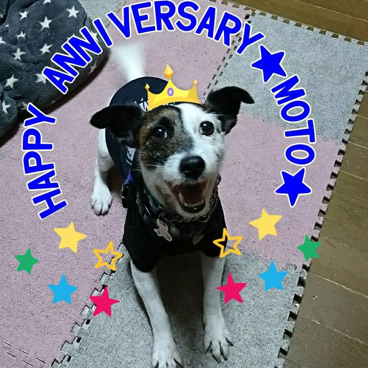 Ec81ad51 c3d5 4aae 8ef3 3ff1ff8fe4e8 1548854141949