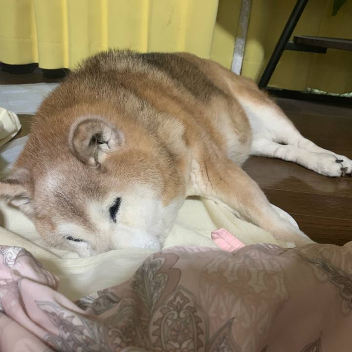 Ec81bbad 30ed 4687 9472 c8d9e782ade9 1683353891714