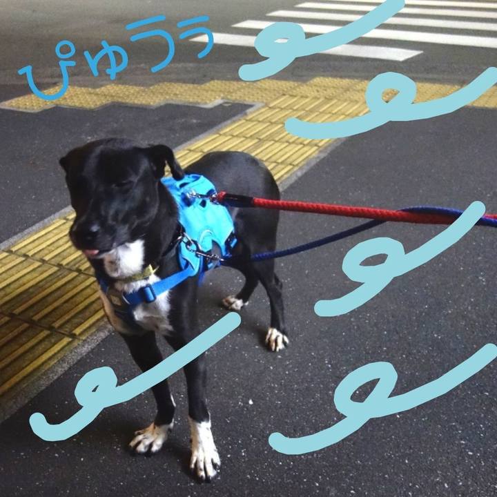 Ec81ca7d 2386 4ca7 ac88 d136f4956d26 1604053737716