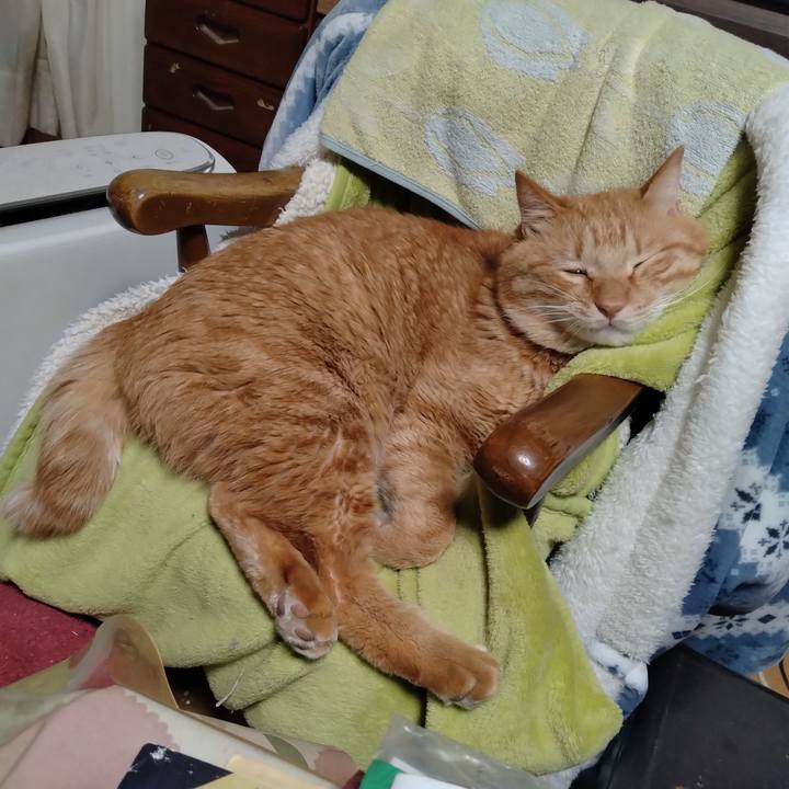 Ec81f42e 0ca9 405a 8ee7 c4dd8c377b2c 1769080293961