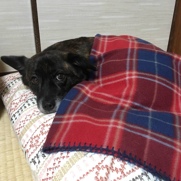 Ec8229b0 6ded 43c2 9119 23f3f7161f08 1508129067898