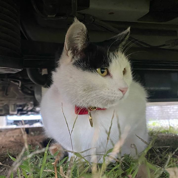 Ec822b5a 243e 46e9 9957 893d4fd8cd5a 1637965365213