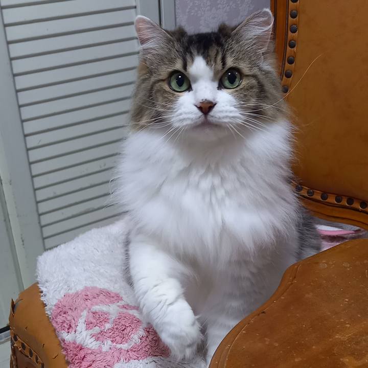 Ec824100 6951 4a36 85d3 886099228081 1694729015968