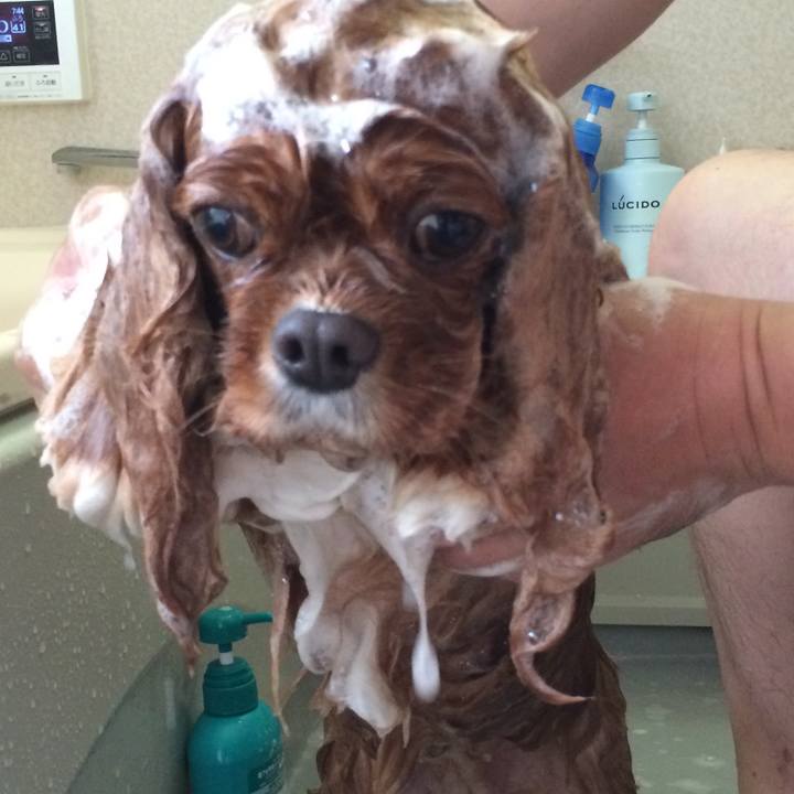 Ec824bb8 0941 44d7 8e41 2128264a3112 1540181742087