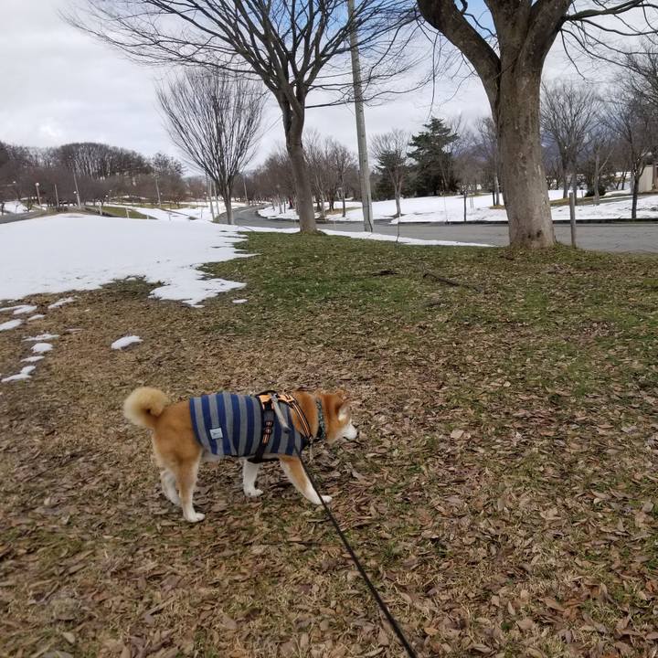 Ec824c9b de20 494a 9622 e6b5daaafe88 1708748139941