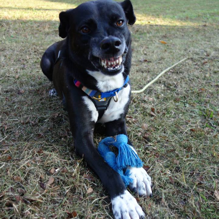 Ec824ff8 1122 46d8 8ba0 7c9bfad97525 1637369643282