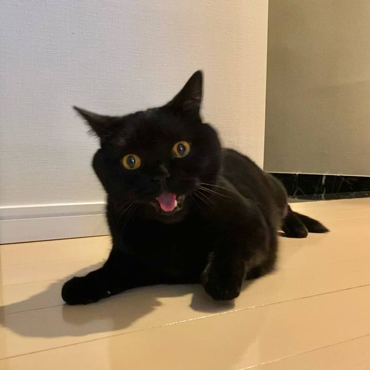 Ec828632 641b 4c59 a74b 98814deedef8 1622537402253