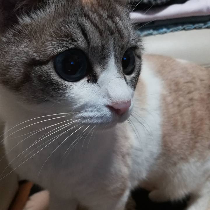 Ec829b7e 574b 494d adfb 1ea3ec89fa9b 1553253293888