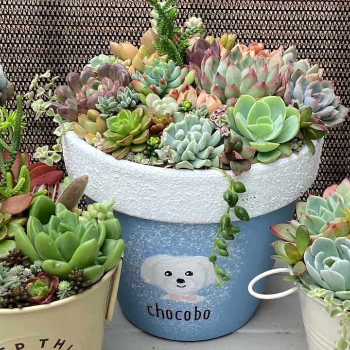 Ec829e91 83cc 4b52 b509 7af12d7e4b43 1673540974446