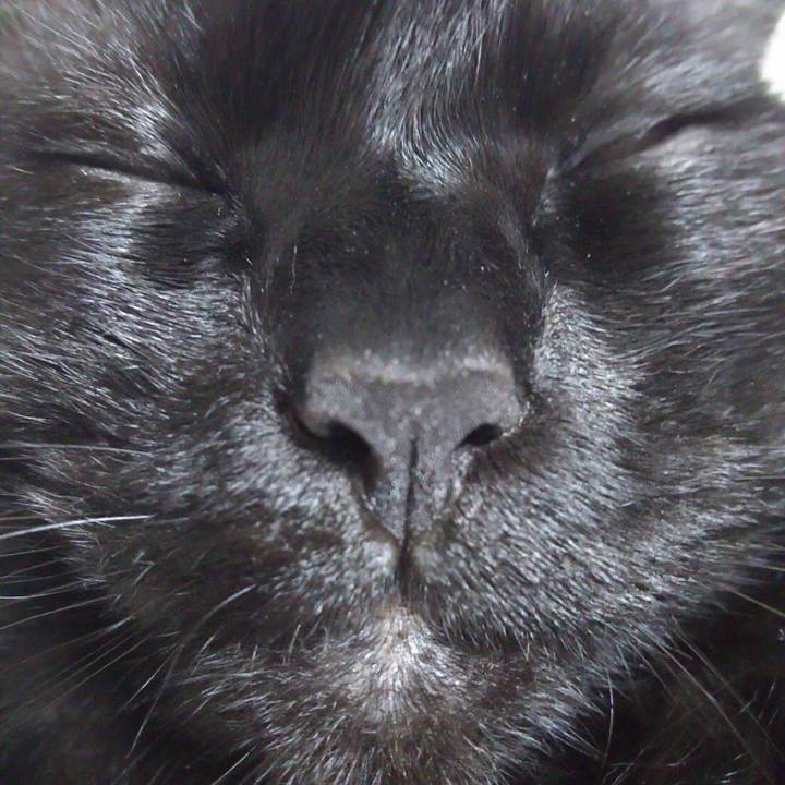 Ec82cb5e eafe 4a9e a299 2872a9e3a613 1525858939638