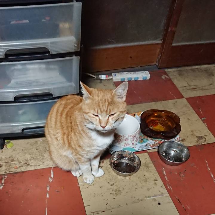 Ec82d26f 1821 4bf3 ac46 93eb73f72850 1585252650728