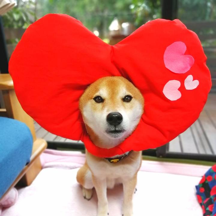 Ec82df7d f463 4bce 9747 8ddd7afe081b 1676280365560