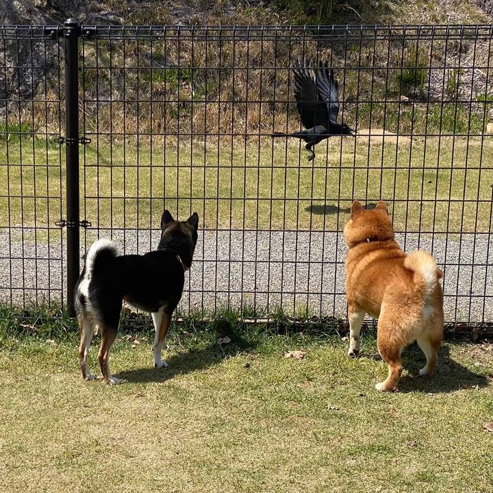 Ec831f20 7d19 41e6 bd84 81c7e106de3f 1619269180178