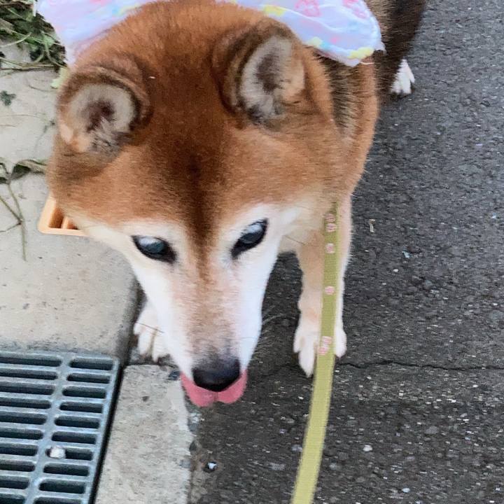 Ec832070 2a20 4e65 a66a a1cbb08f5fb2 1694596719907