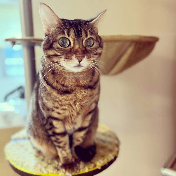 Ec8358dd 452a 447f 957b f28ba8593636 1641166267598