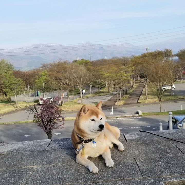 Ec837d62 bb9d 4617 9381 dbb728d59682 1619250460274