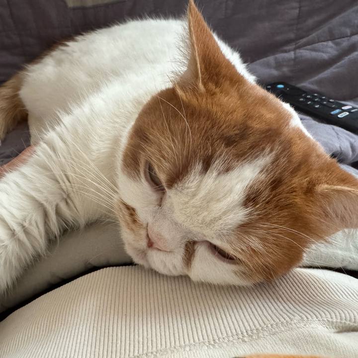 Ec83882e 5381 4667 ac33 3bc5378a1a1d 1770976088279