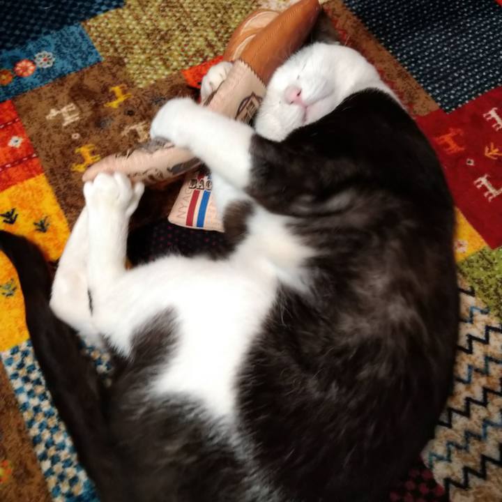 Ec83d2d9 d414 4abf b058 e8b162791a77 1590129458207