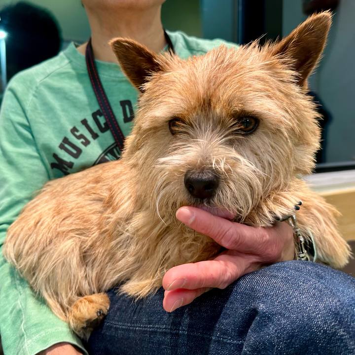 Ec841796 bbb4 4539 a132 8599ad797497 1743110165106