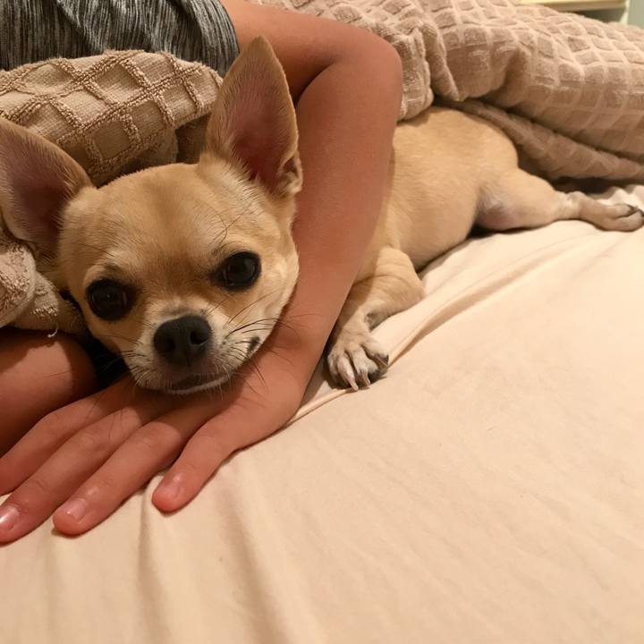 Ec844a6e 525d 408e 9d1b 8014f538131d 1507643242772