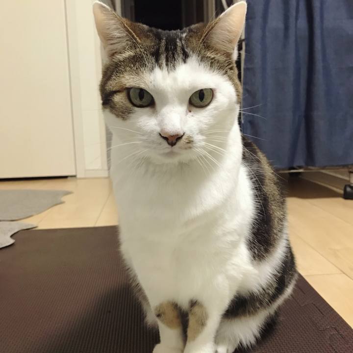 Ec847b38 e968 4e33 b384 89b2ecc9be0f 1580784266256