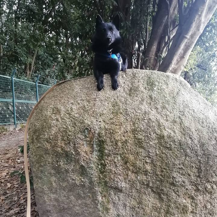 Ec84847b 7190 4bb4 a459 9bab6a7eab05 1610321859293