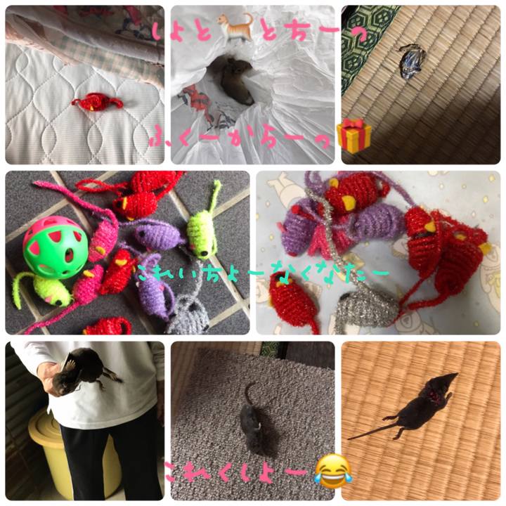 Ec848ec9 cfb3 4875 9f87 fe97867bac82 1580728206940