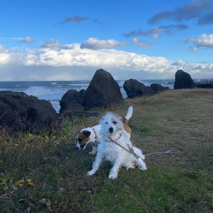 Ec849ecf 773e 49fd 8cb2 a4bad42e458d 1700873883103