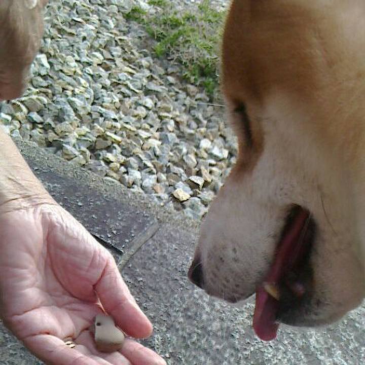 Ec849f93 9dd5 407f 958f d121c4021d90 1565274307885